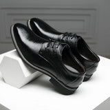 Roma Wingtip klasikiniai batai