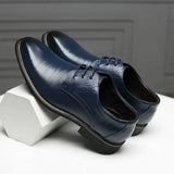 Roma Wingtip klasikiniai batai